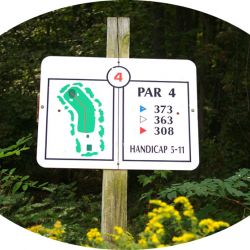 Hole-4 Middle-Course-1