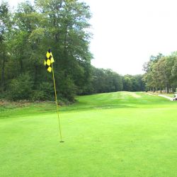 Hole-4 Middle-Course-4