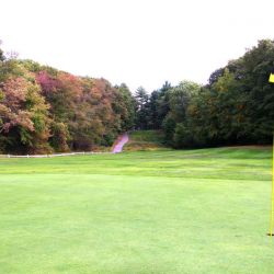 Hole-7 Middle-Course-7a